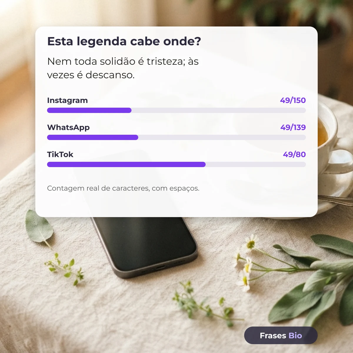 Legenda para foto sozinha e o contador de caracteres por rede